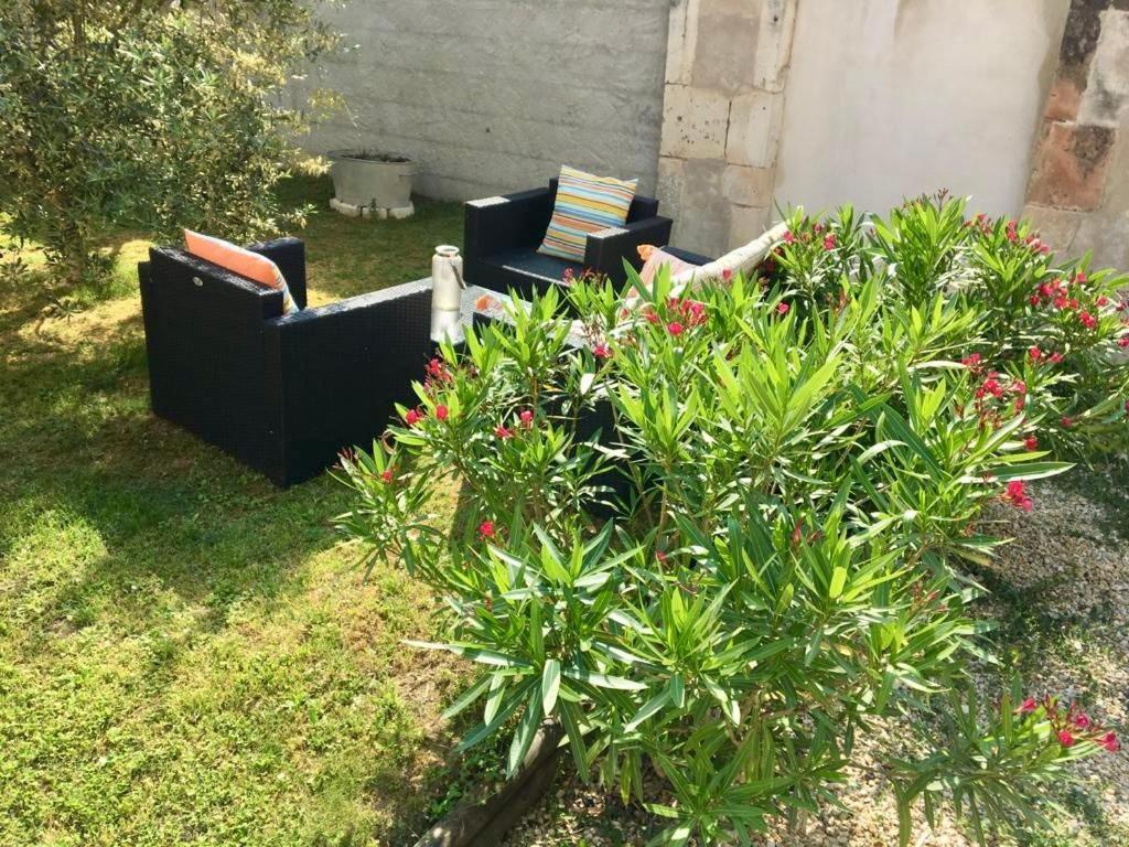 Le Nid De Sigogne Bed & Breakfast Dış mekan fotoğraf